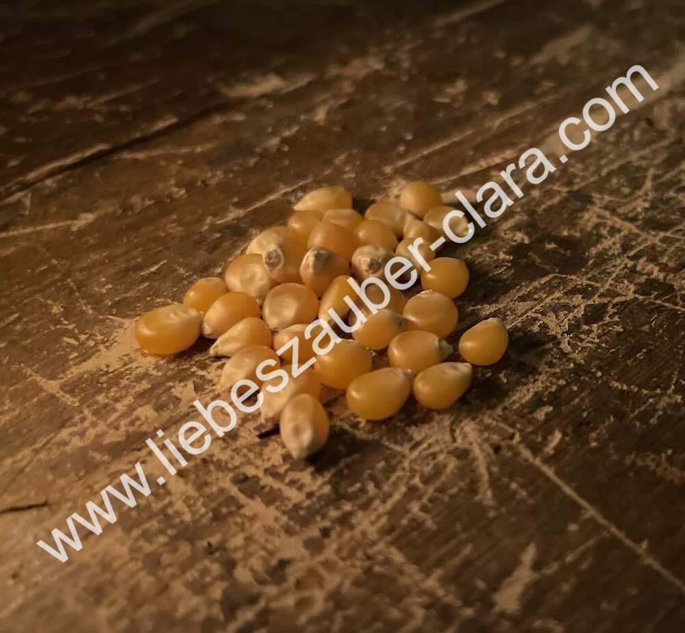 Das einfache Ceridwen-Ritual: Partnerrückführung Selbermachen