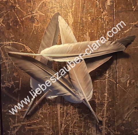 Das Astarte-Ritual - Partnerrückführung zum Selbermachen - Ritual-Anleitung